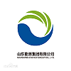 山东能源集团 (Shandong Energy Group)
