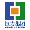 恒力集团 (Hengli Group)