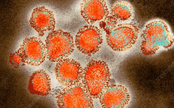 国家疾控局：浙江省发现一例H3N2与H10N5混合感染病例