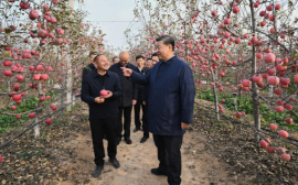 习近平在陕豫考察访问中强调农村再生的重要性