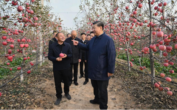 习近平在陕豫考察访问中强调农村再生的重要性
